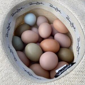 A hat full of eggs