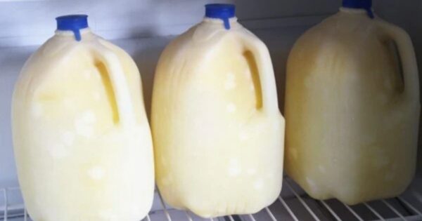 1 gallon frozen raw goat milk